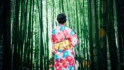 What is Kimono? History? Types? Yuzen?