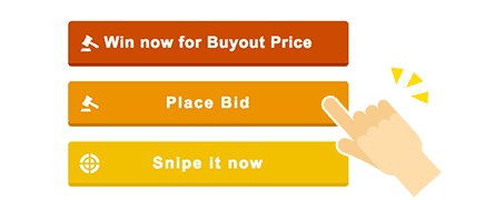 Buyout price, place bid, snipe it now buttons
